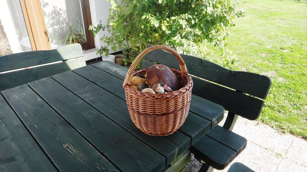 Prazdninovy Dum - Pacl Cervena Recice Villa Room photo
