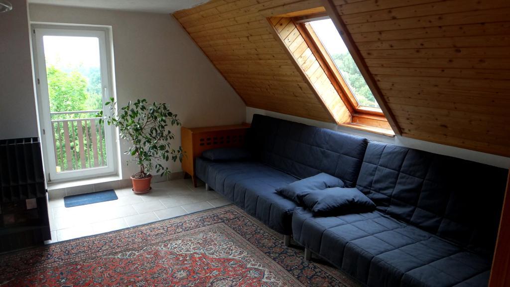 Prazdninovy Dum - Pacl Cervena Recice Villa Room photo